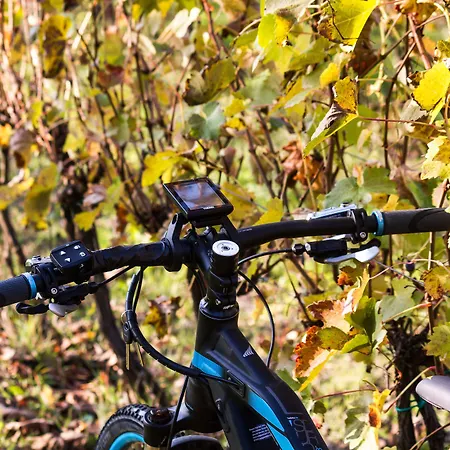 مزرعة للإقامة Ca' San Sebastiano Wine & Camino