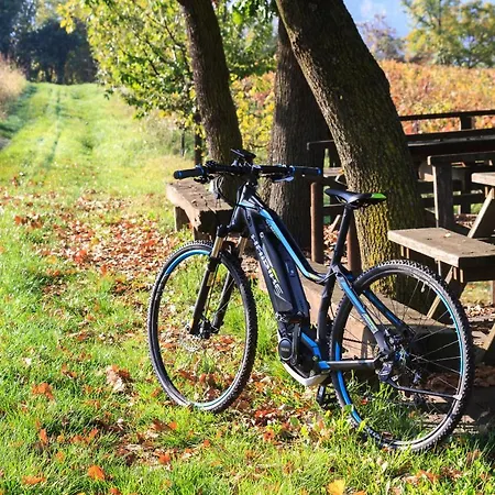 Ca' San Sebastiano Wine &