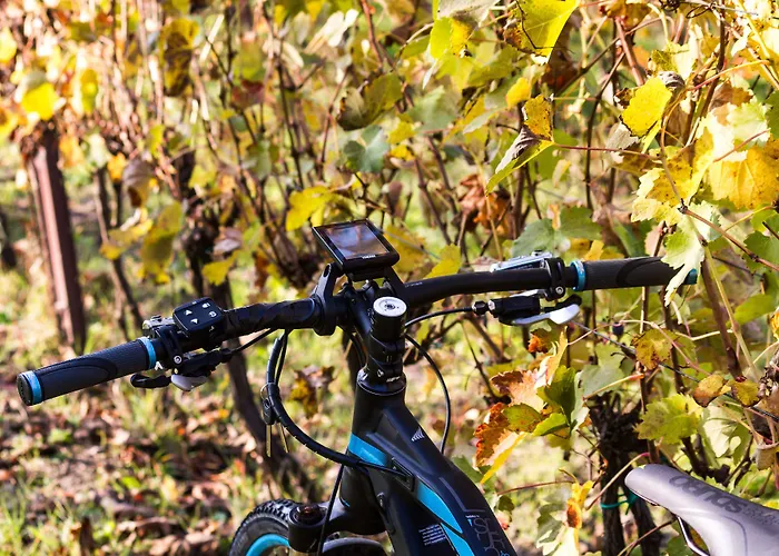 Agroturismo Ca' San Sebastiano Wine & Camino