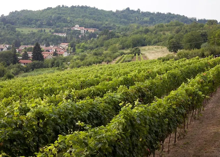 Agroturismo Ca' San Sebastiano Wine &