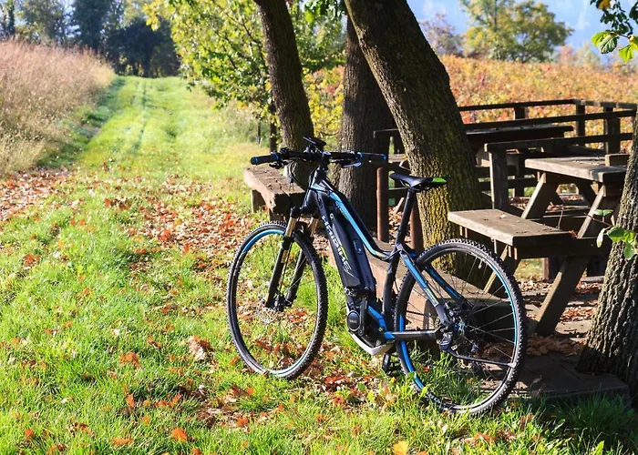 Ca' San Sebastiano Wine &